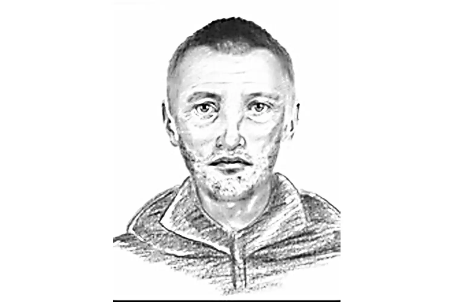 Hund kommt zu Herrchen