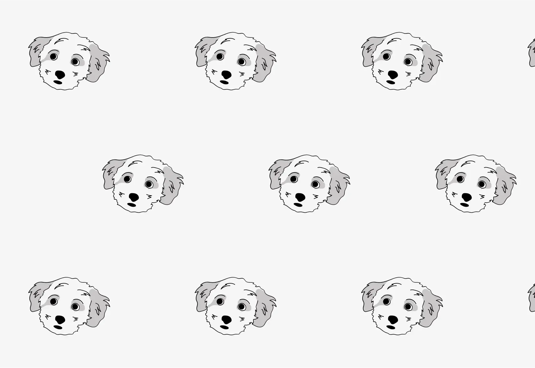 Maltipoo Welpe auf Spaziergang