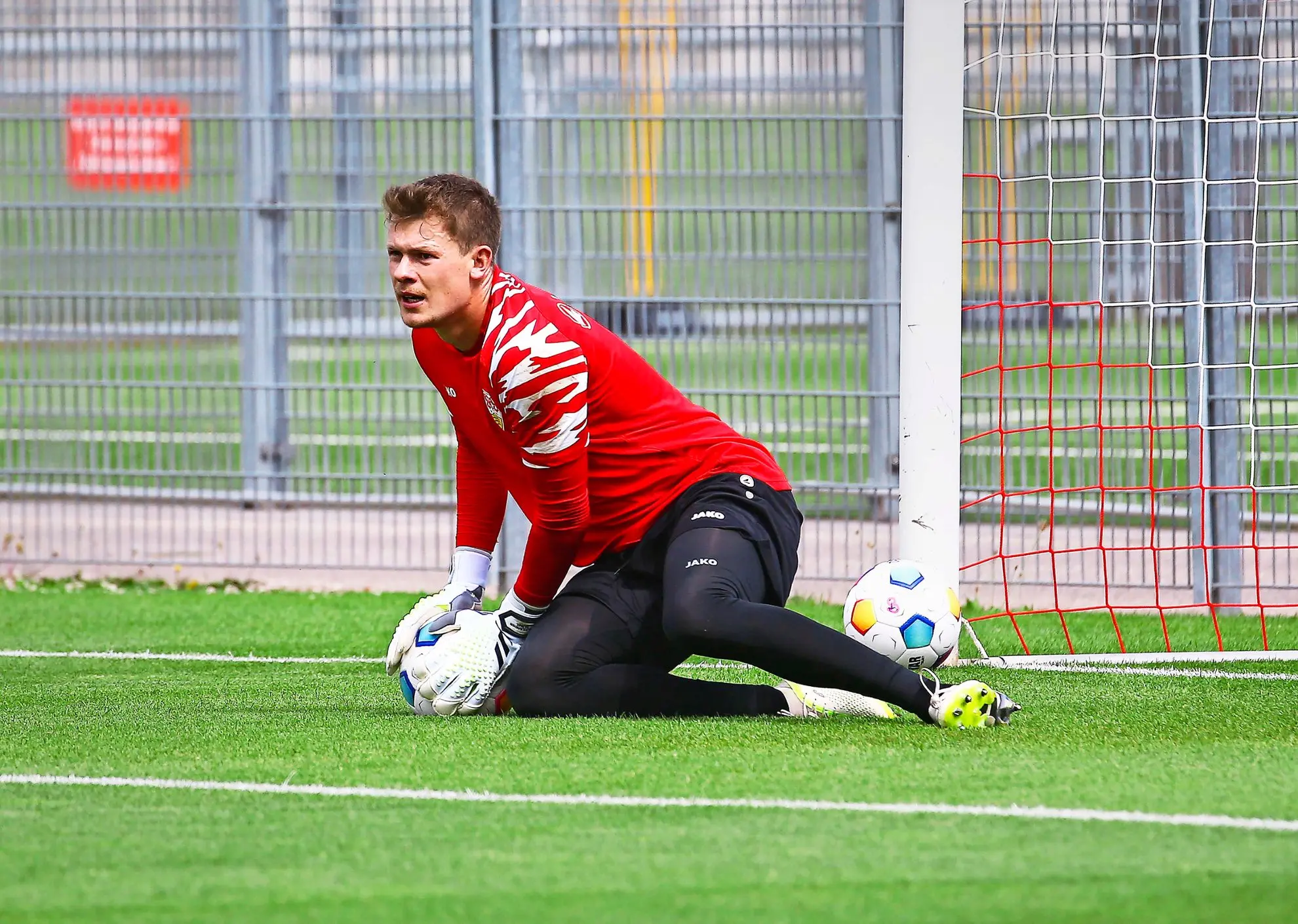 Mensch trainiert Hund