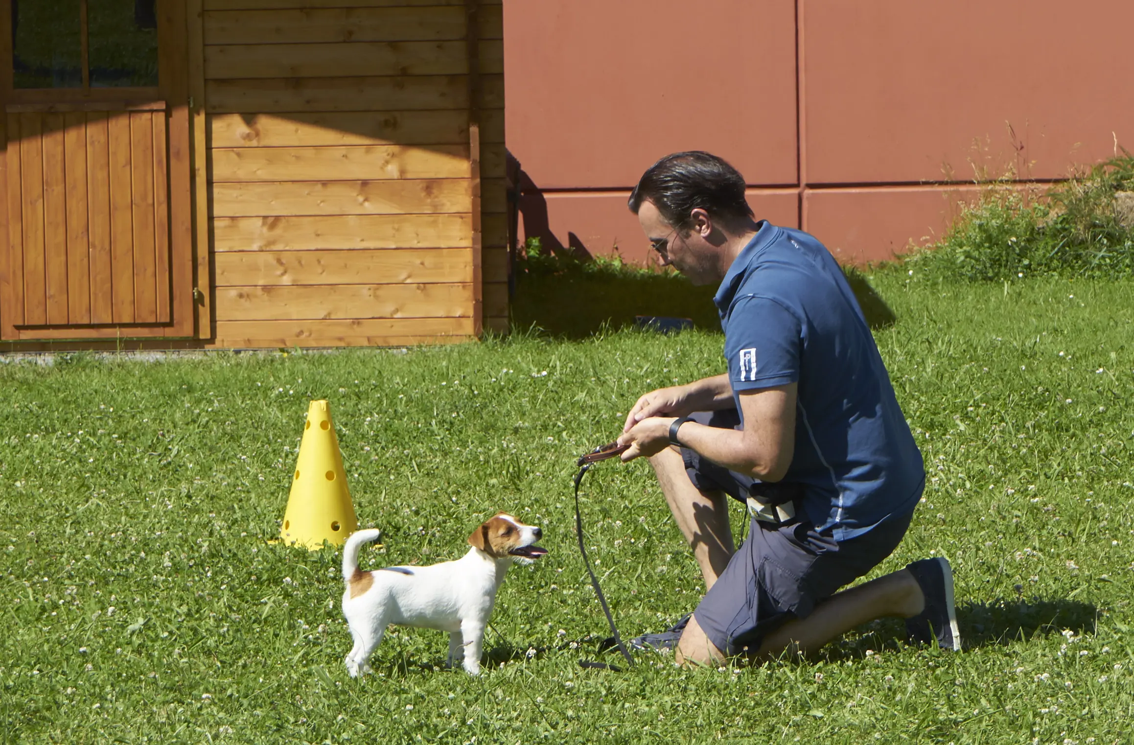welpenkurs in hundeschule